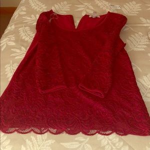 Dress Barn NWT lace blouse